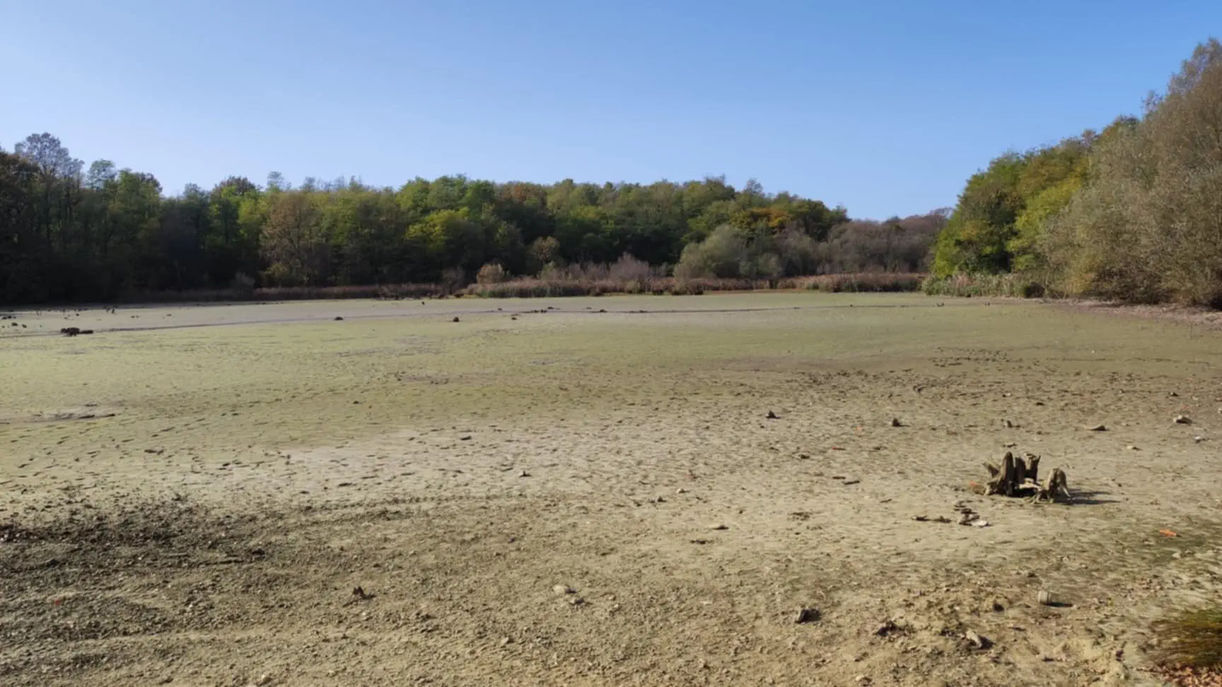 Šenkovec brana ribnjak 2024 (11)