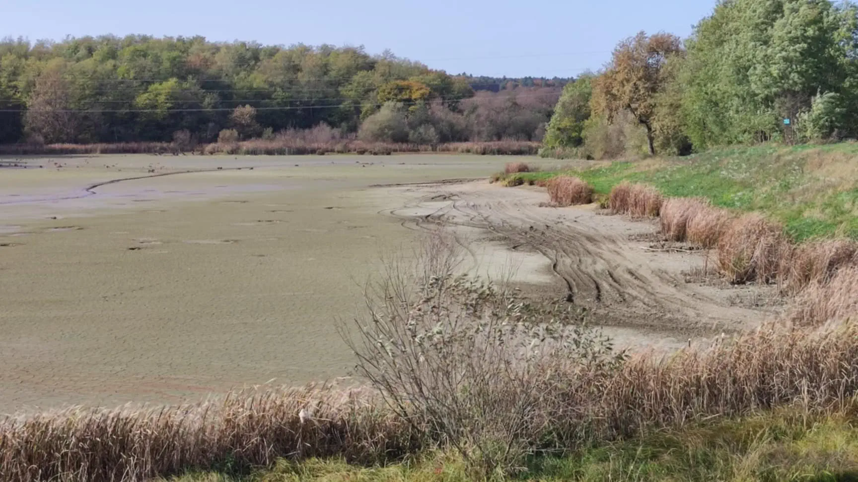 Šenkovec brana ribnjak 2024 (3)