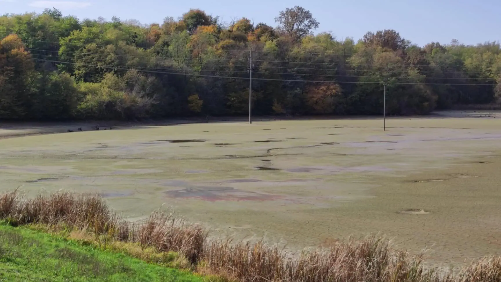 Šenkovec brana ribnjak 2024 (4)