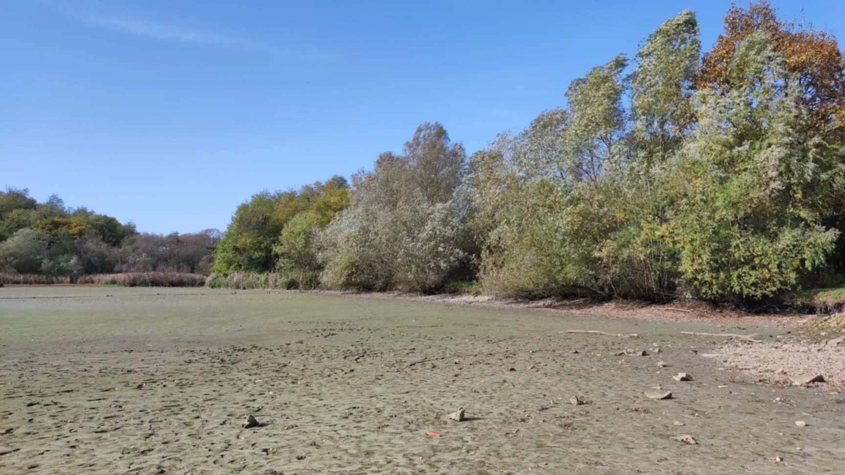 Šenkovec brana ribnjak 2024 (6)