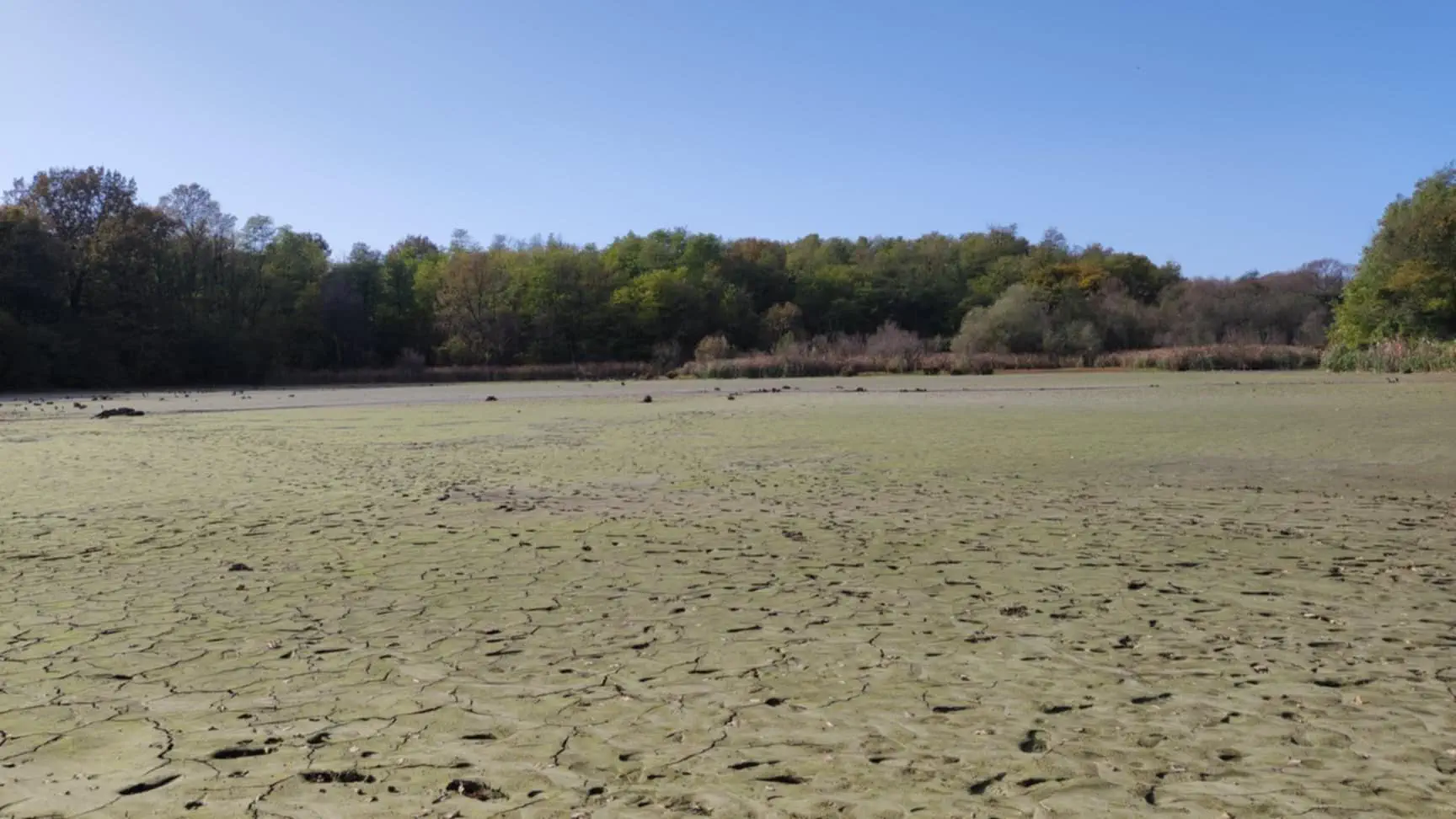 Šenkovec brana ribnjak 2024 (9)