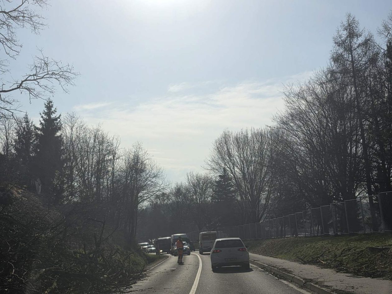 Šenkovec promet gužva radovi (3)