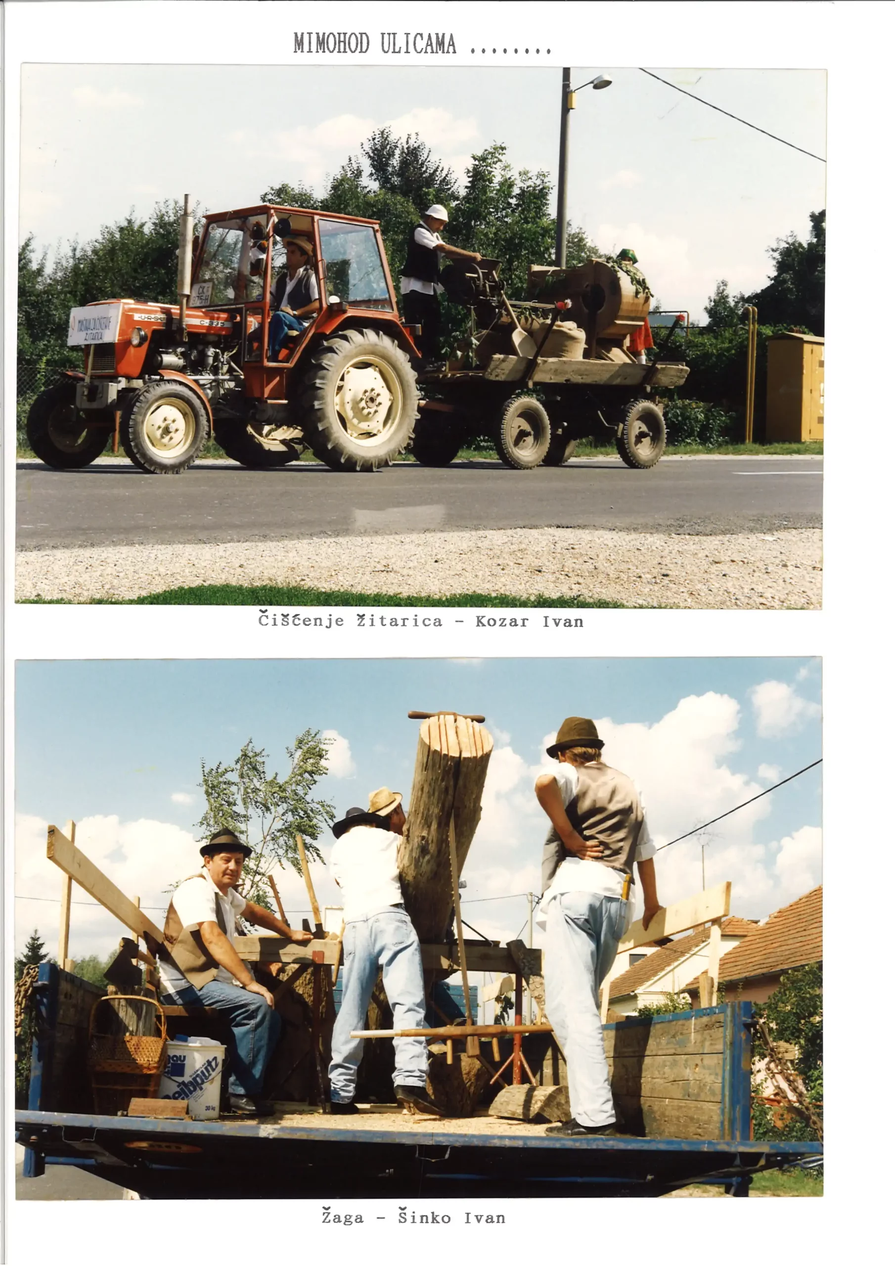 Serojojnska berba grožđa (2)