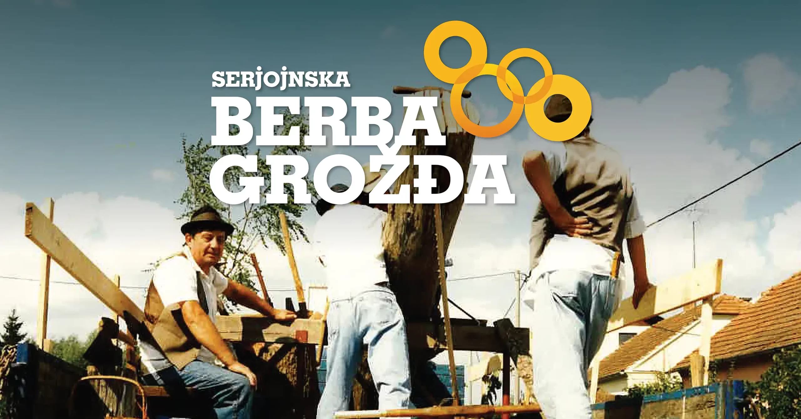 Serojojnska berba grožđa (6)