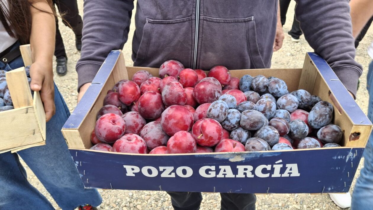 Severina i Ivica Vrhar 2