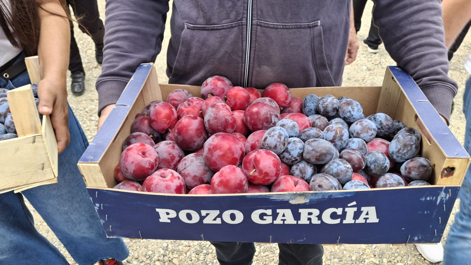 Severina i Ivica Vrhar 2