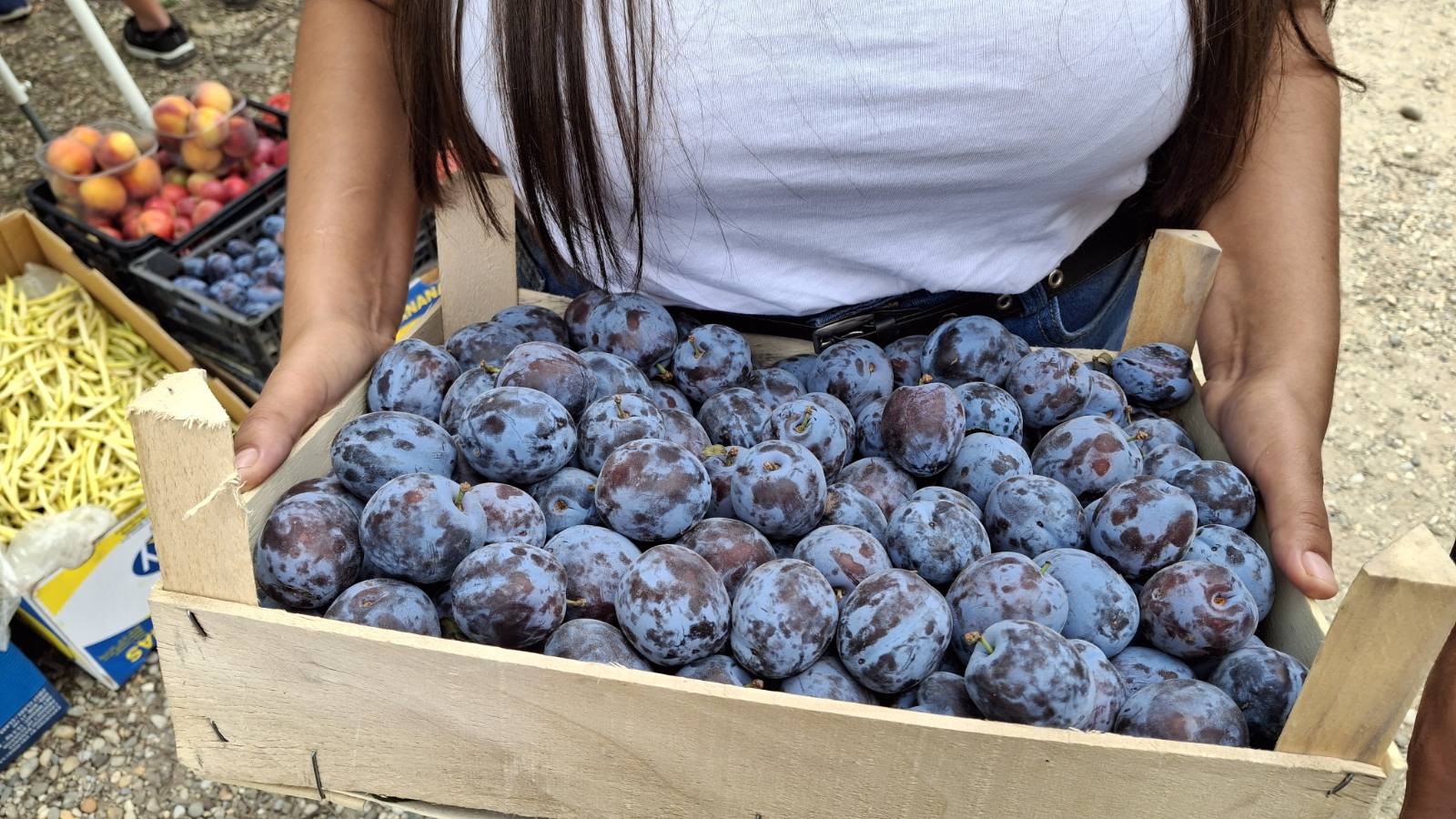 Severina i Ivica Vrhar 3 Severina i Ivica Vrhar 3