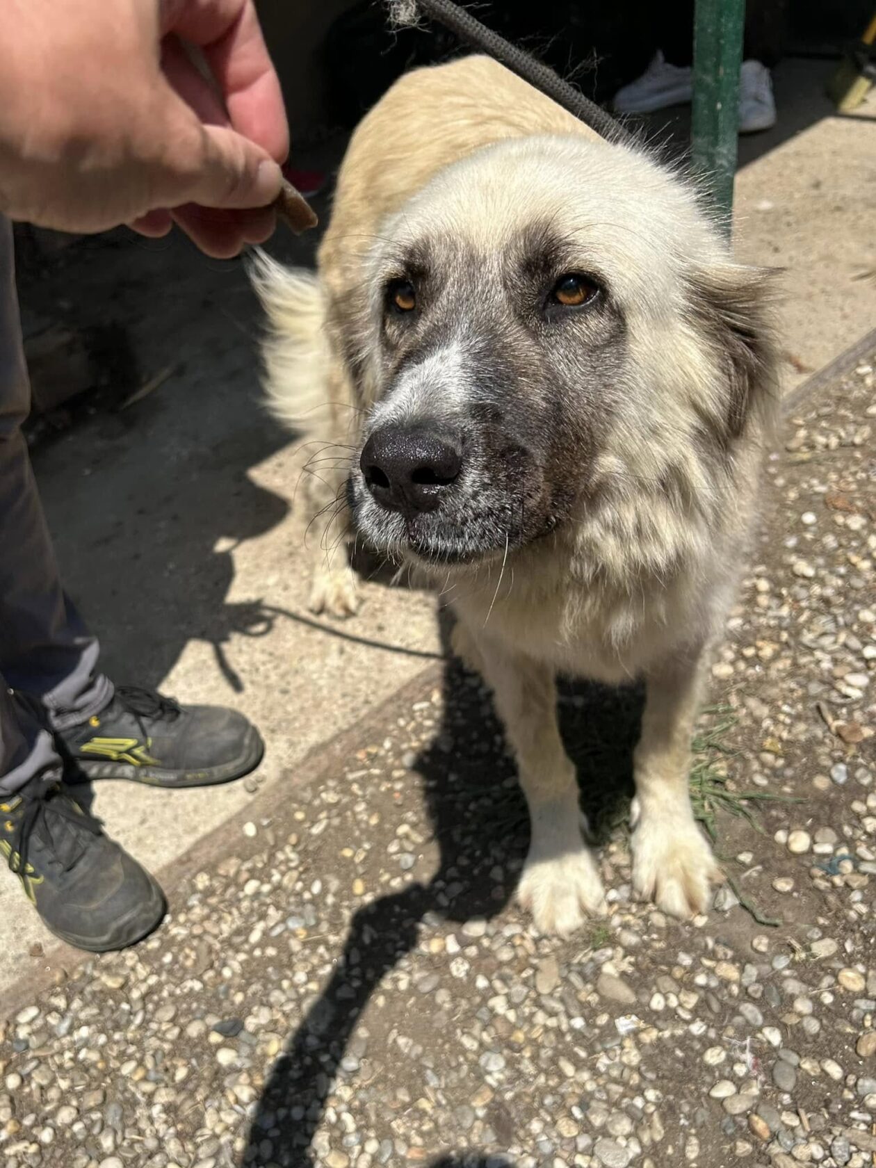 Silvija Kunić,azil (11) Silvija Kunić,azil (11)