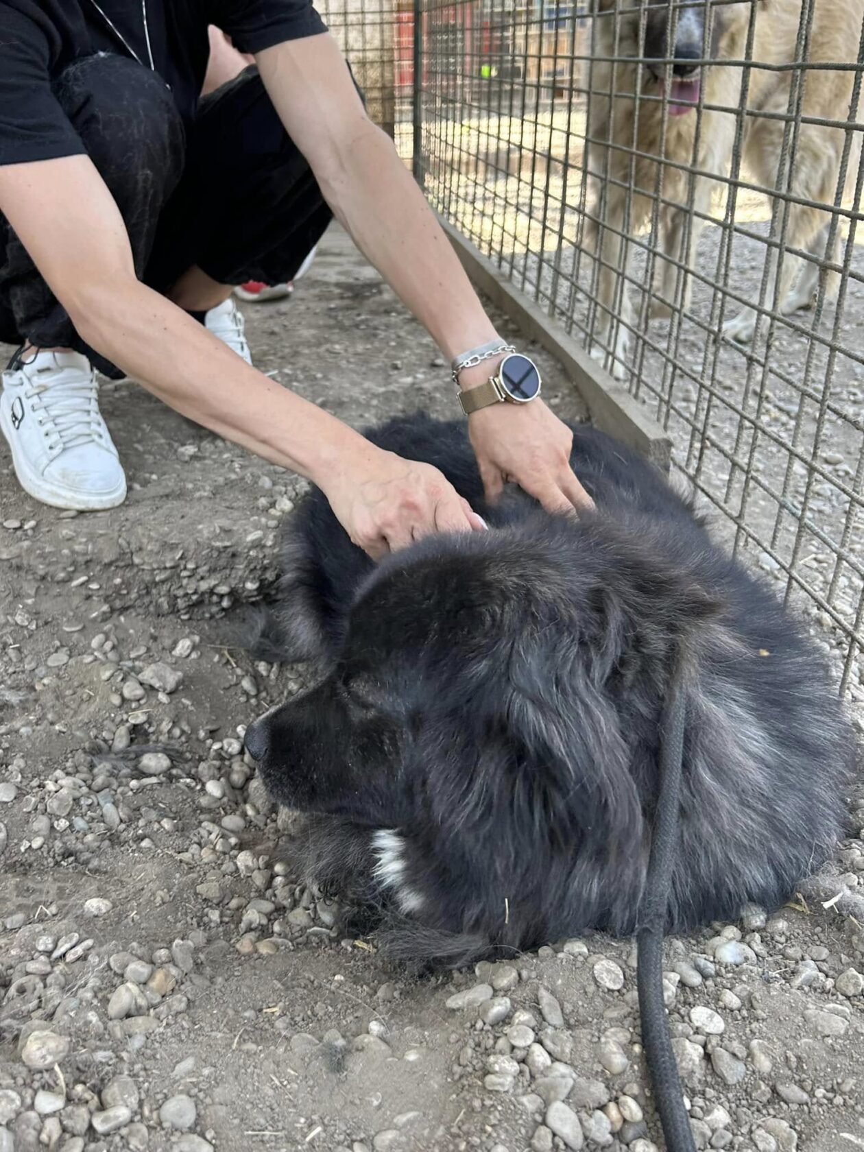 Silvija Kunić,azil (13) Silvija Kunić,azil (13)