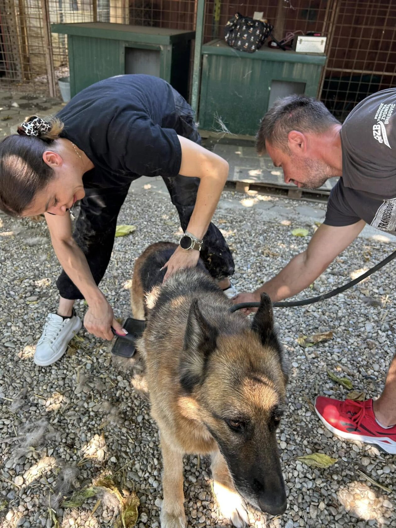 Silvija Kunić,azil (15) Silvija Kunić,azil (15)