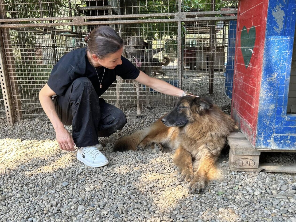 Silvija Kunić,azil (6) Silvija Kunić,azil (6)