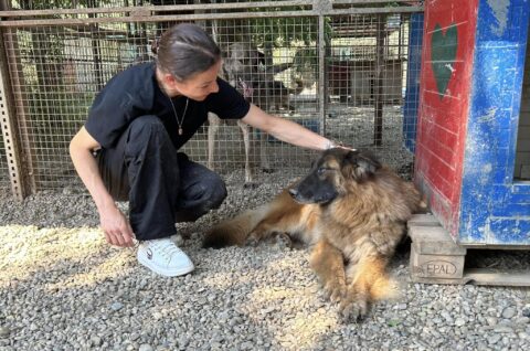 Silvija Kunić,azil (6)