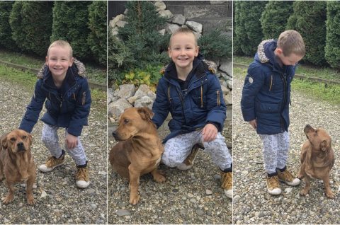 Simon Janković naslovna