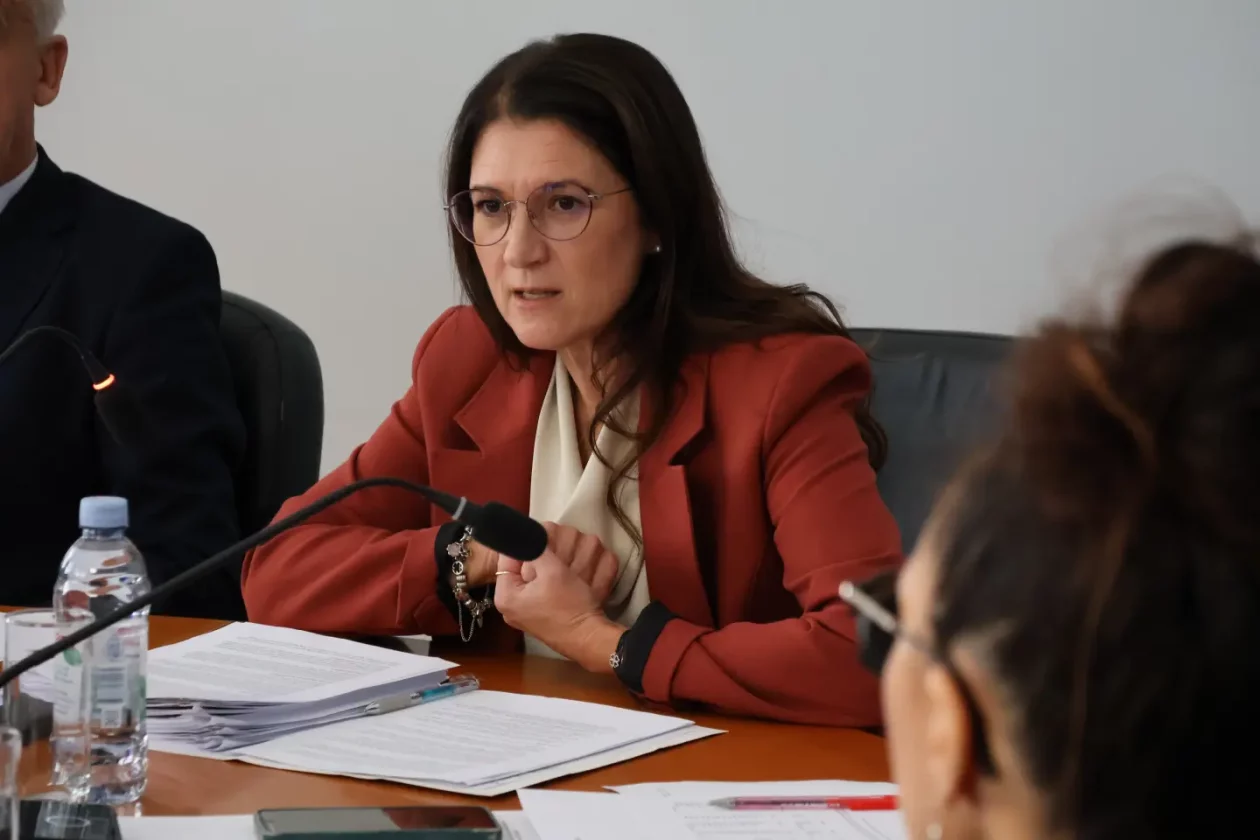 Sjednica, Gradsko vijeće, Grad Čakovec (19) Ljerka Cividini