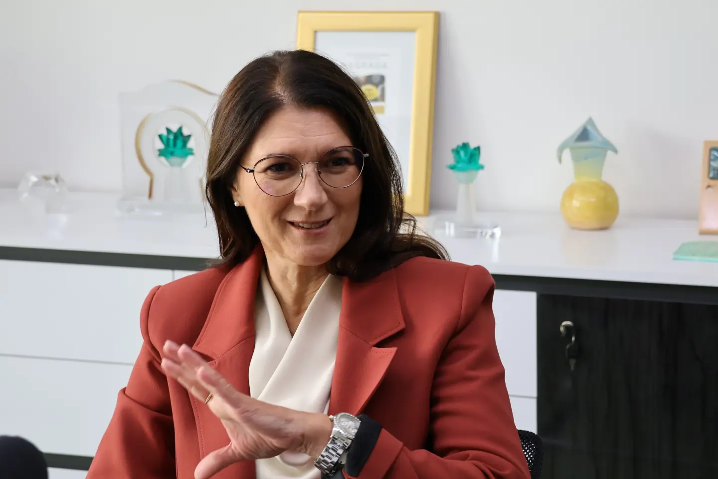 Sjednica, Gradsko vijeće, Grad Čakovec (2) Ljerka Cividini