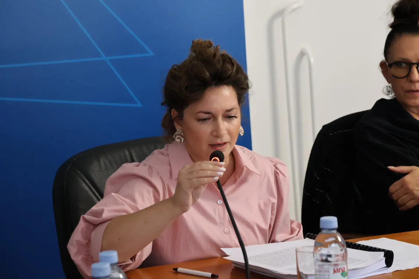 Sjednica, Gradsko vijeće, Grad Čakovec (25) Lana Remar