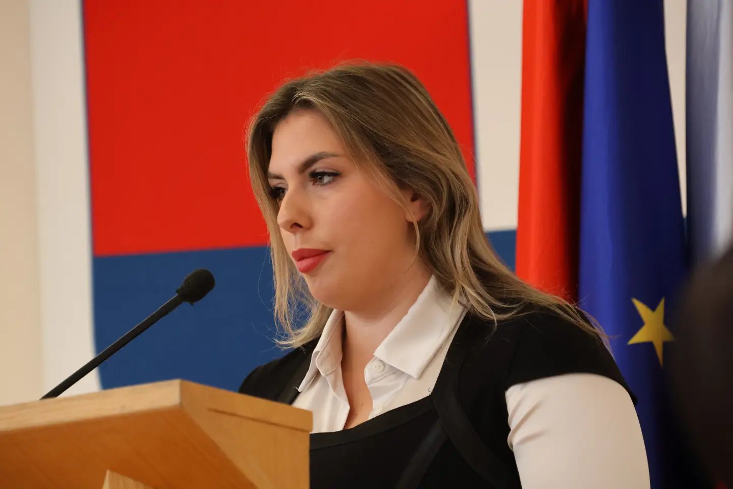 Sjednica skupština Međimurska županija 18.12.2025 (73) Sjednica skupština Međimurska županija 18.12.2025 (73)