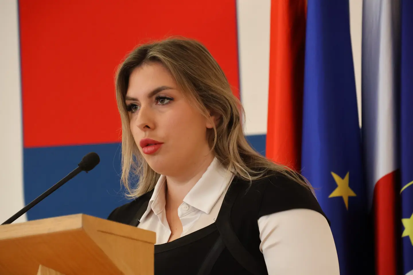 Sjednica skupština Međimurska županija 18.12.2025 (74) Sjednica skupština Međimurska županija 18.12.2025 (74)