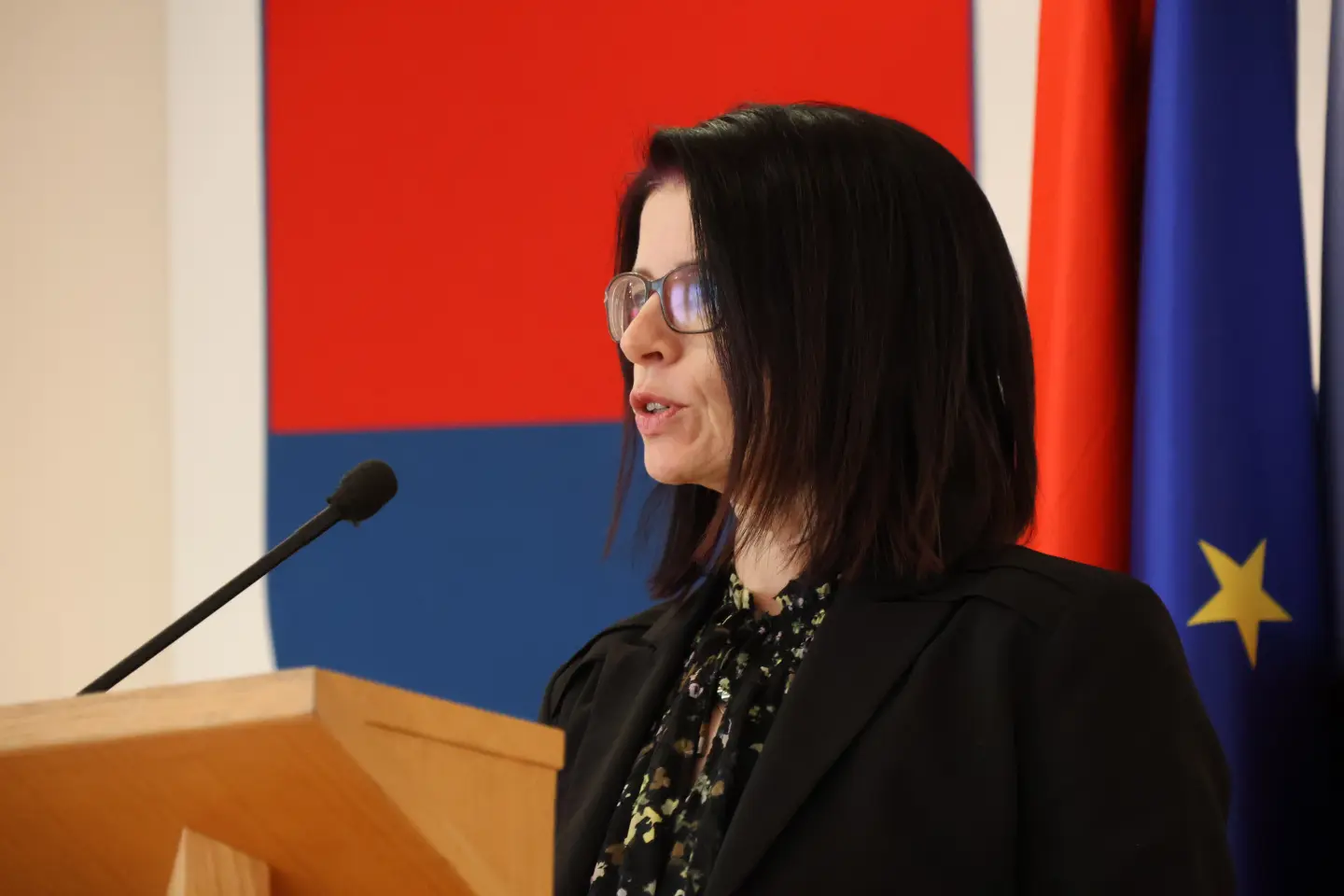 Sjednica skupština Međimurska županija 18.12.2025 (80) Sjednica skupština Međimurska županija 18.12.2025 (80)