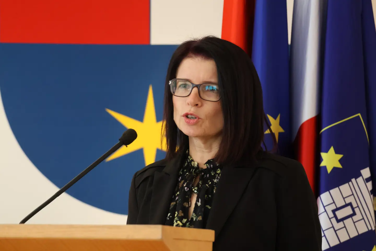 Sjednica skupština Međimurska županija 18.12.2025 (82) Sjednica skupština Međimurska županija 18.12.2025 (82)