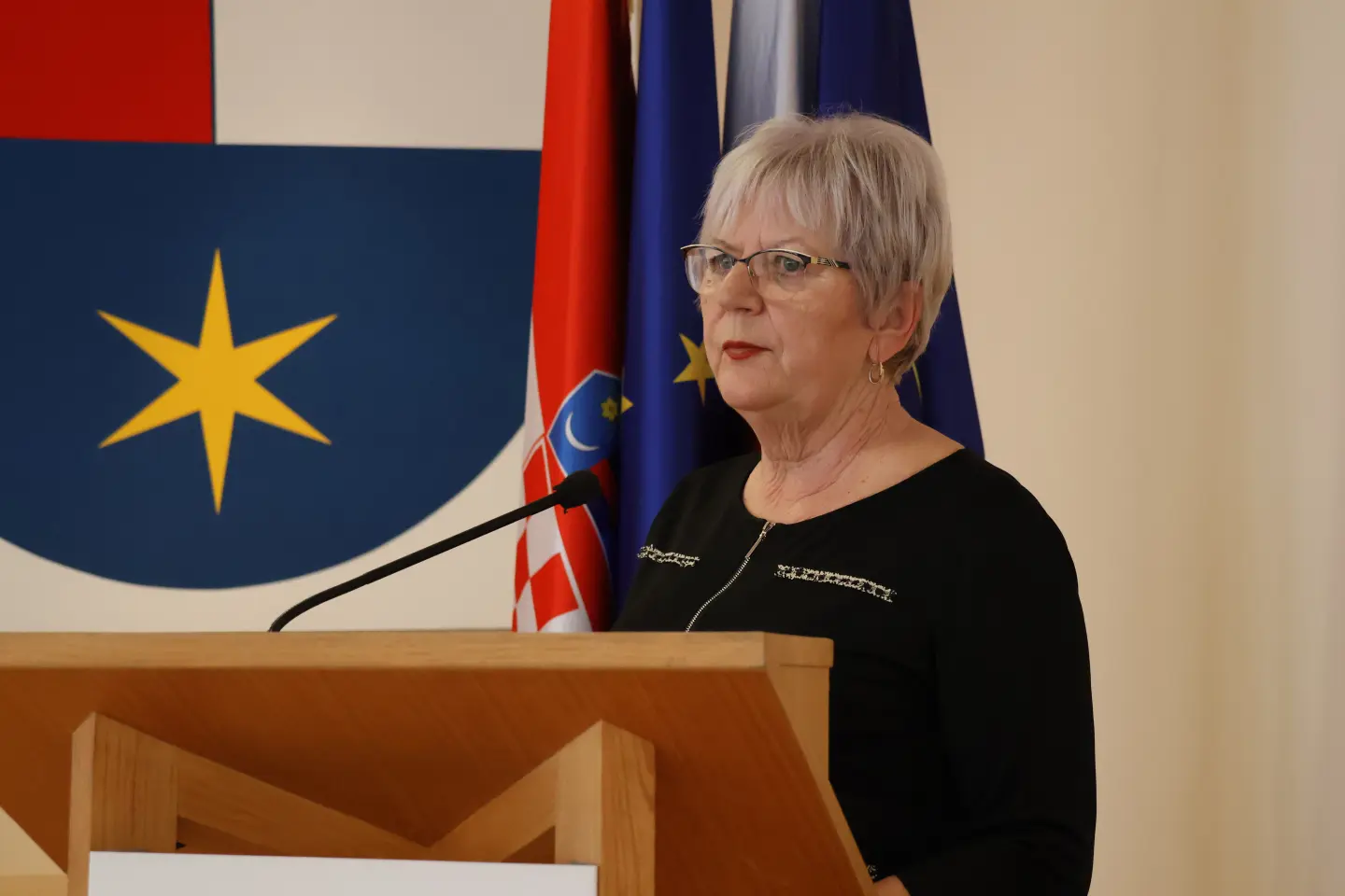 Sjednica skupština Međimurska županija 18.12.2025 (92) Sjednica skupština Međimurska županija 18.12.2025 (92)