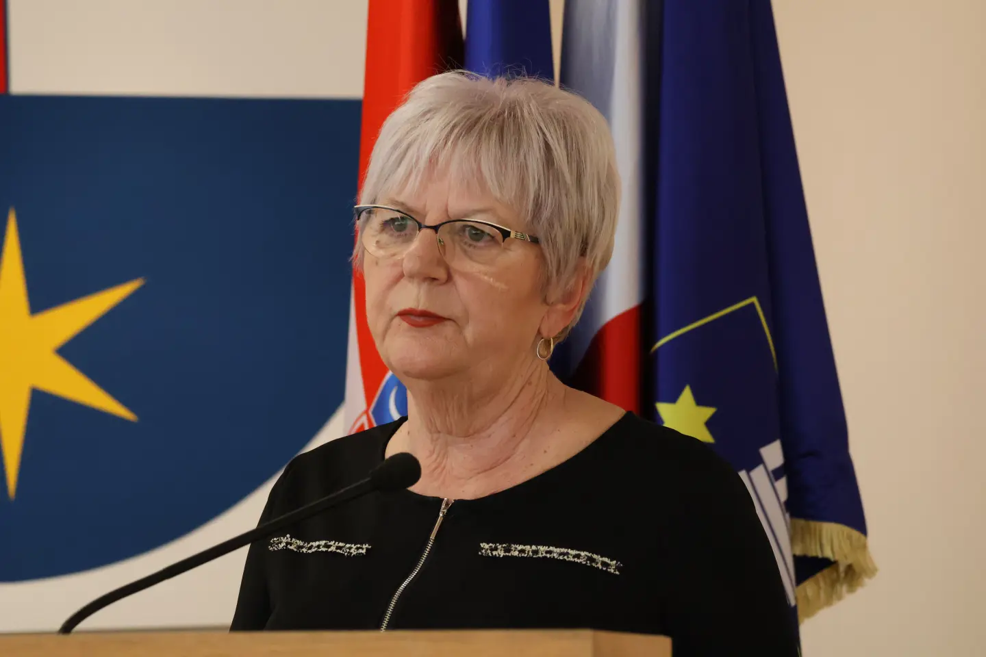 Sjednica skupština Međimurska županija 18.12.2025 (93) Sjednica skupština Međimurska županija 18.12.2025 (93)