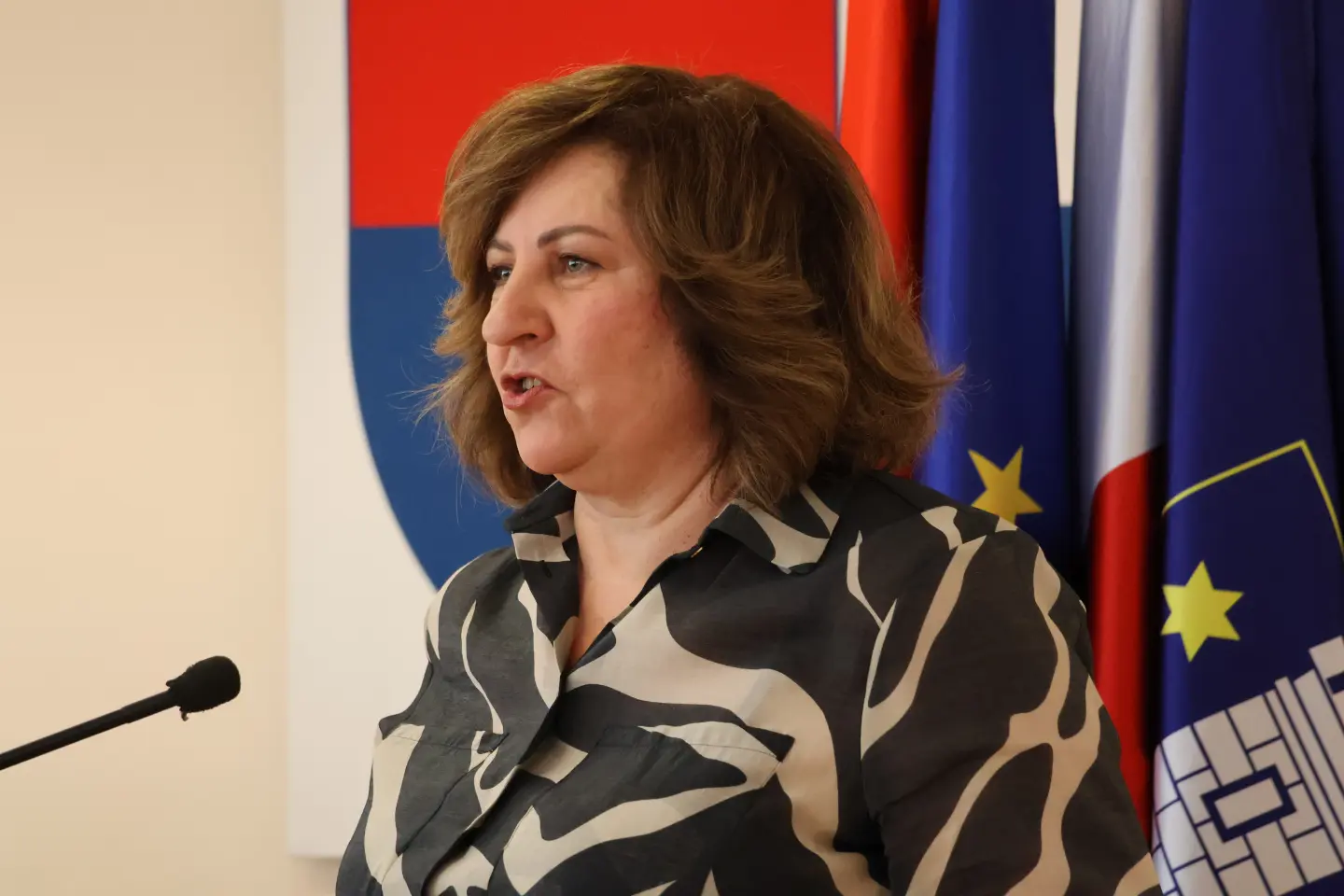 Sjednica skupština Međimurska županija 18.12.2025 (94) Sjednica skupština Međimurska županija 18.12.2025 (94)