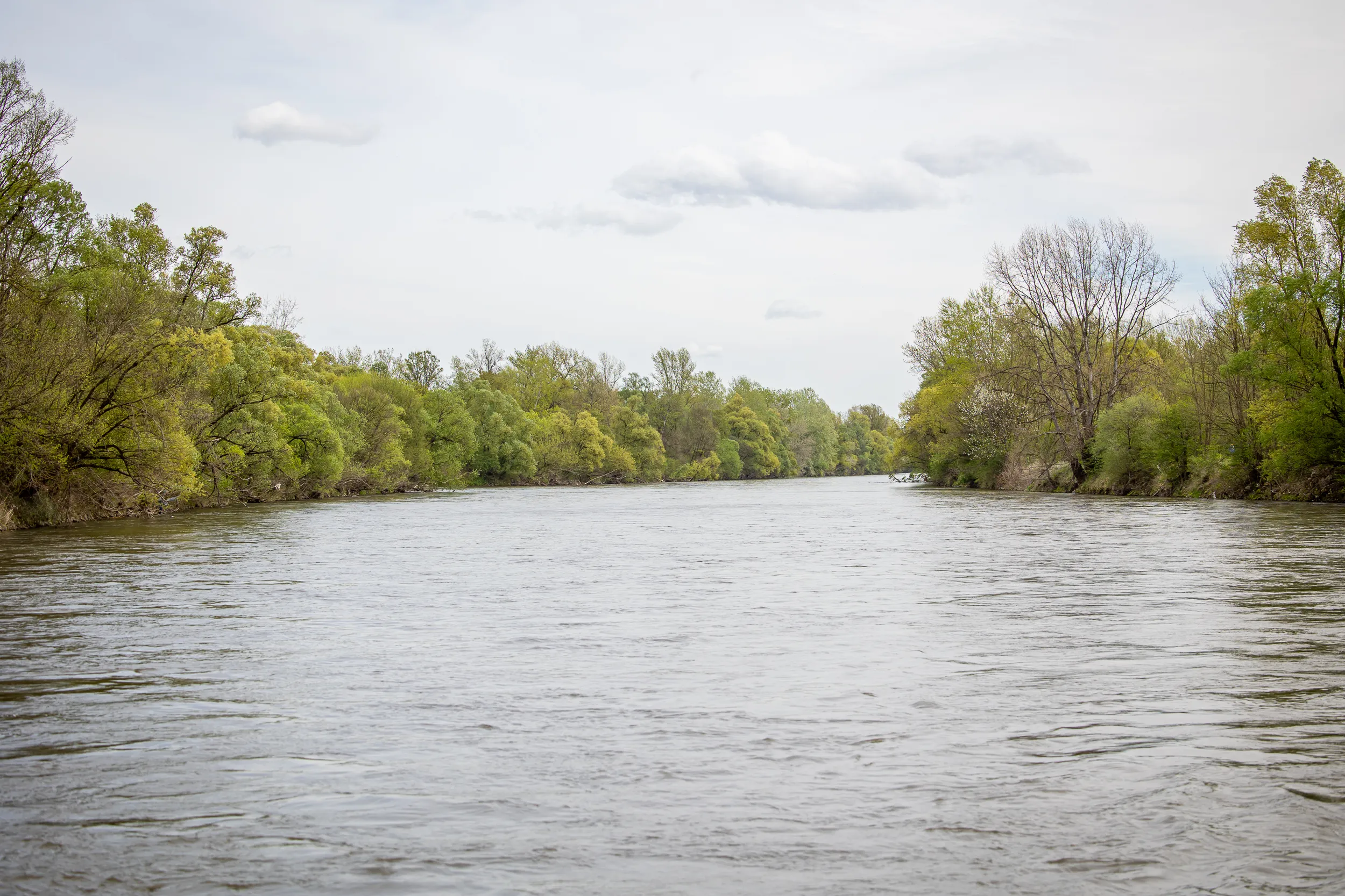 Skelarenje – skele Sveti Martin na Muri (117) Skelarenje – skele Sveti Martin na Muri (117)