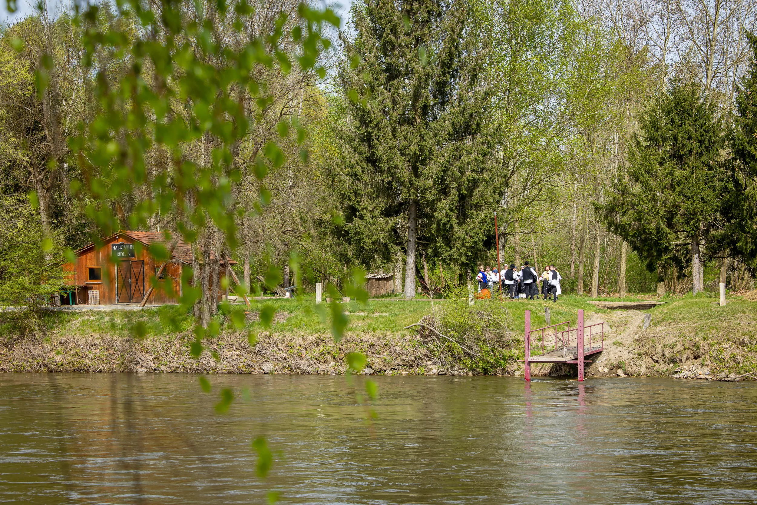 Skelarenje – skele Sveti Martin na Muri (67) Skelarenje – skele Sveti Martin na Muri (67)