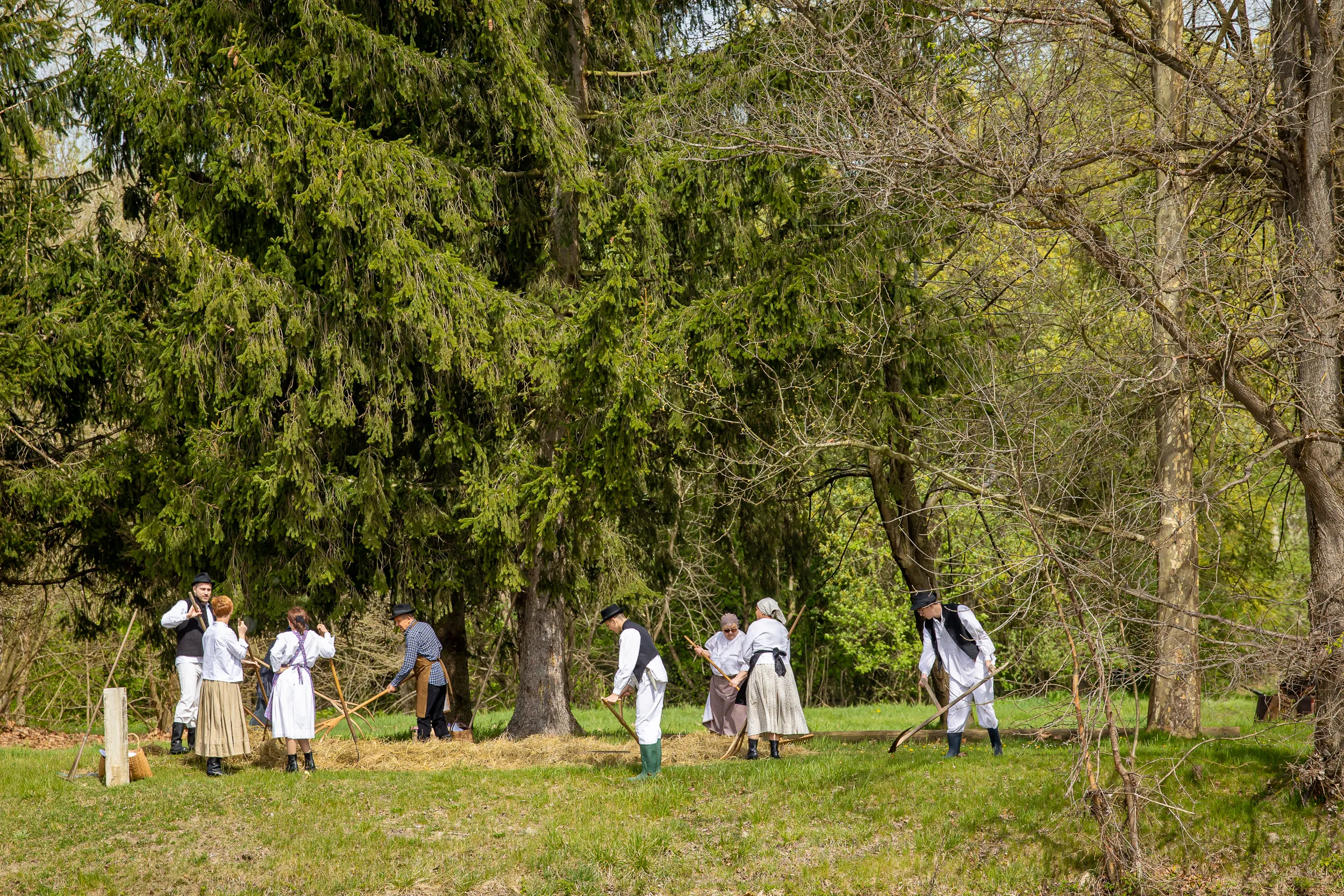 Skelarenje – skele Sveti Martin na Muri (84) Skelarenje – skele Sveti Martin na Muri (84)