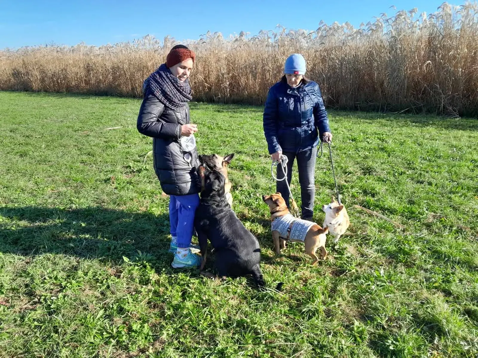 Sklonište Prijatelji, udomljavanje (1) Sklonište Prijatelji, udomljavanje (1)