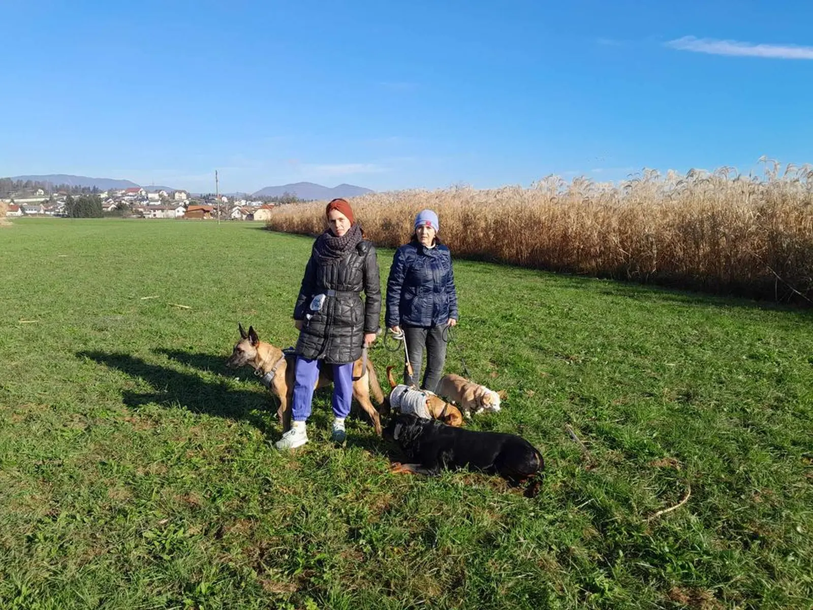 Sklonište Prijatelji, udomljavanje (6) Sklonište Prijatelji, udomljavanje (6)