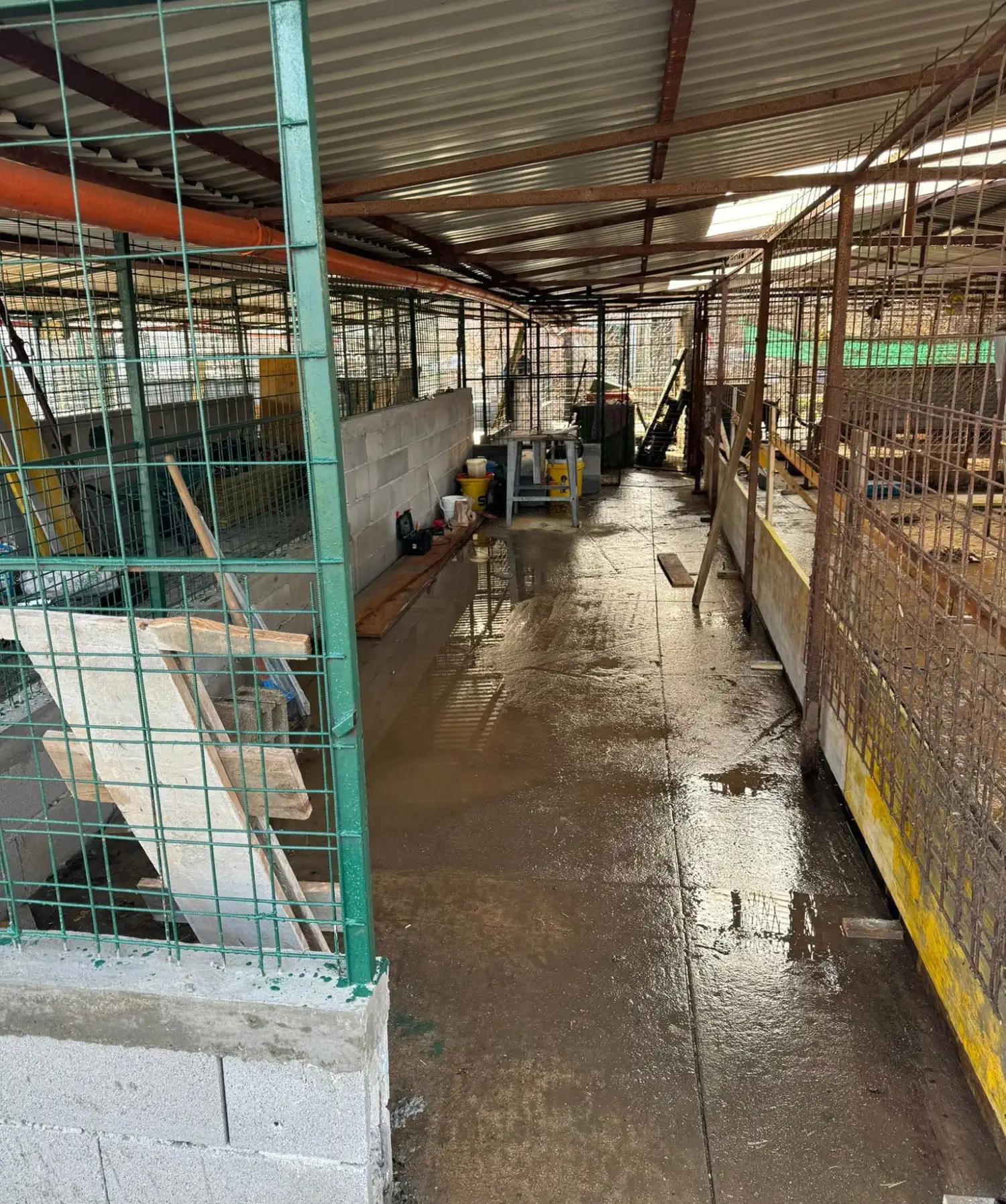 Sklonište prijatelji Čakovec obnova 2025 (2)