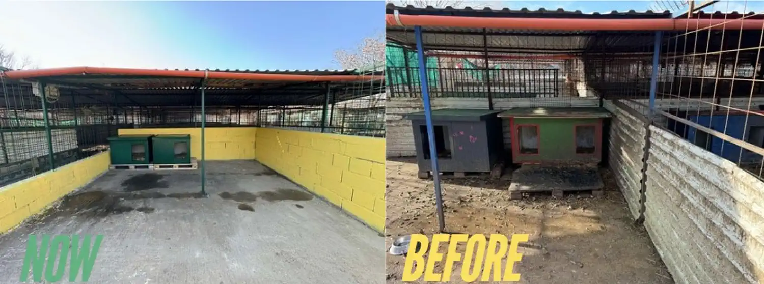 Sklonište prijatelji Čakovec obnova 2025 (4)