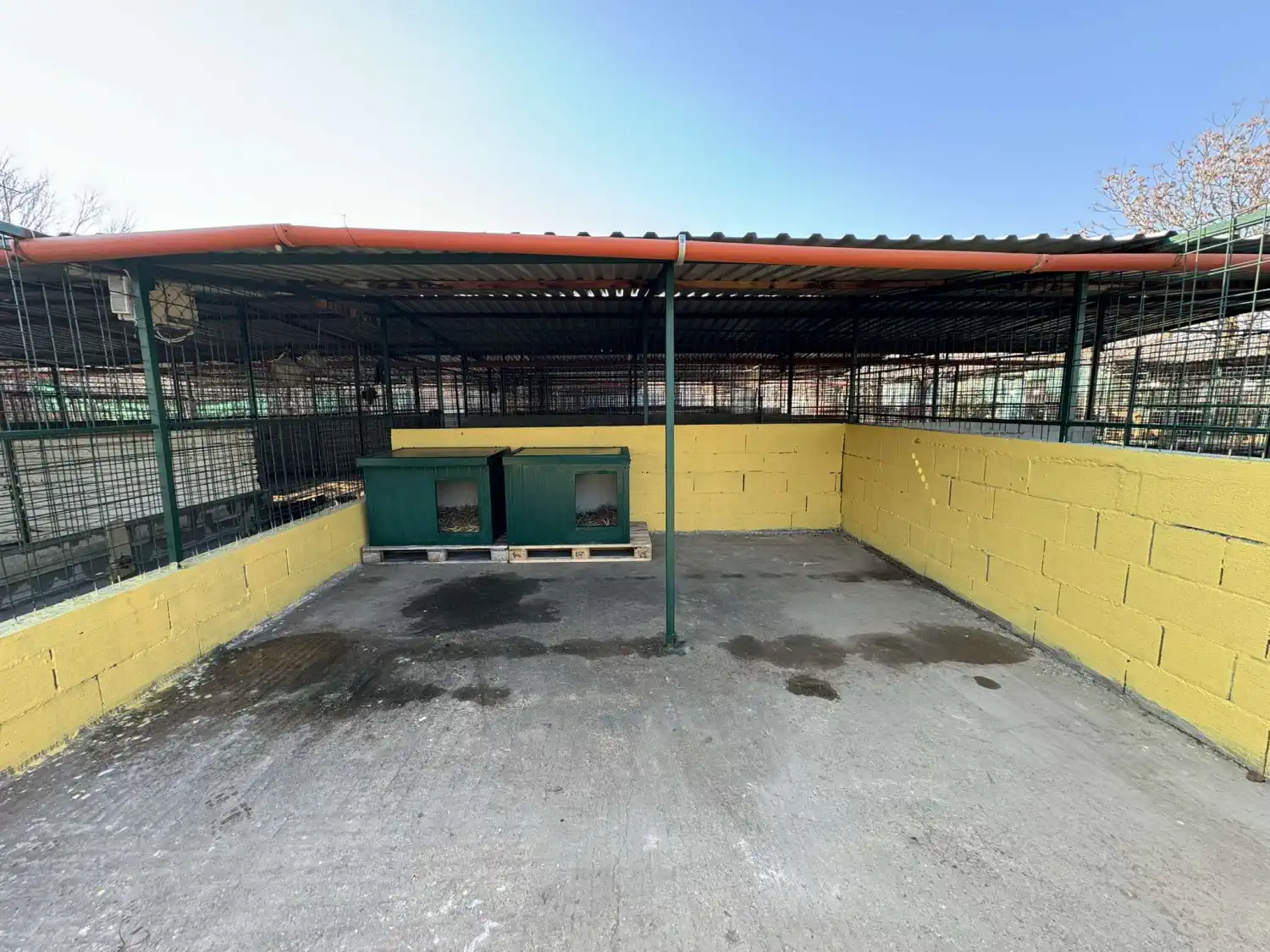 Sklonište prijatelji Čakovec obnova 2025 (5)