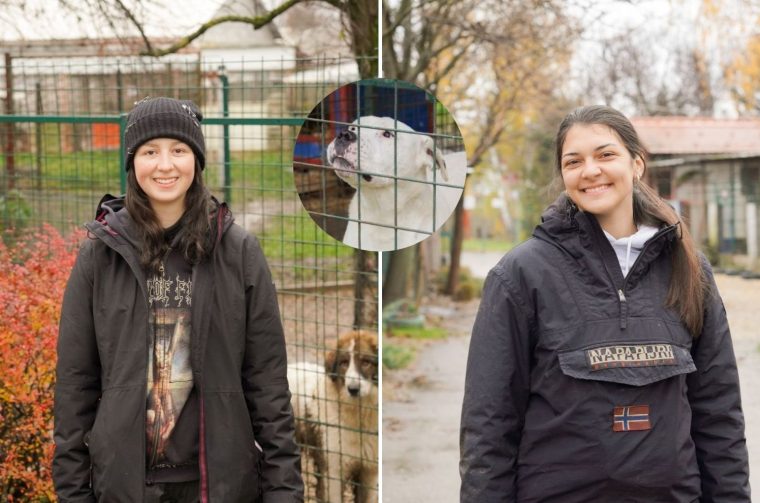 Sklonište za pse (1)