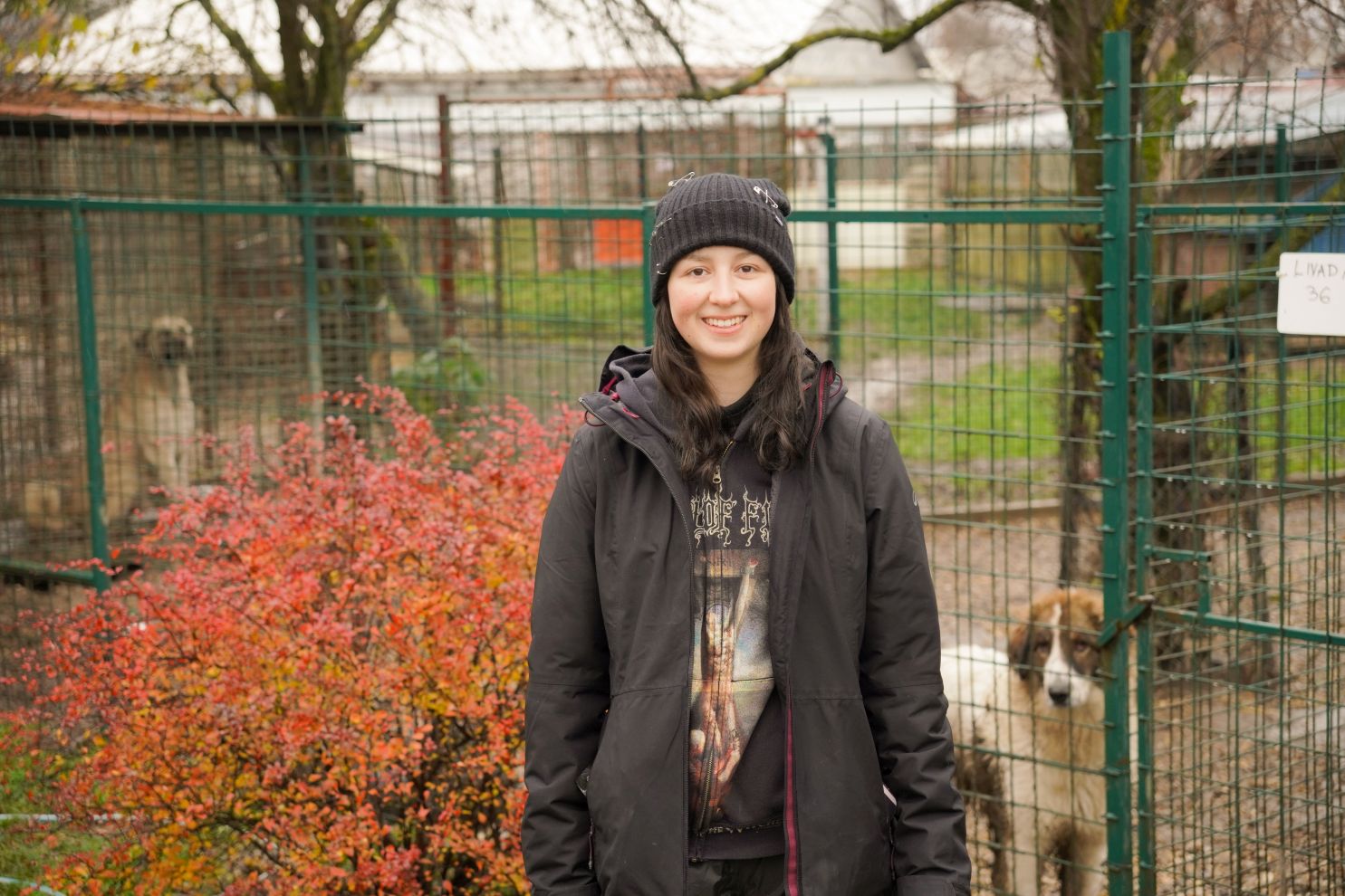 Sklonište za životinje azil Prijatelji volonteri (2)