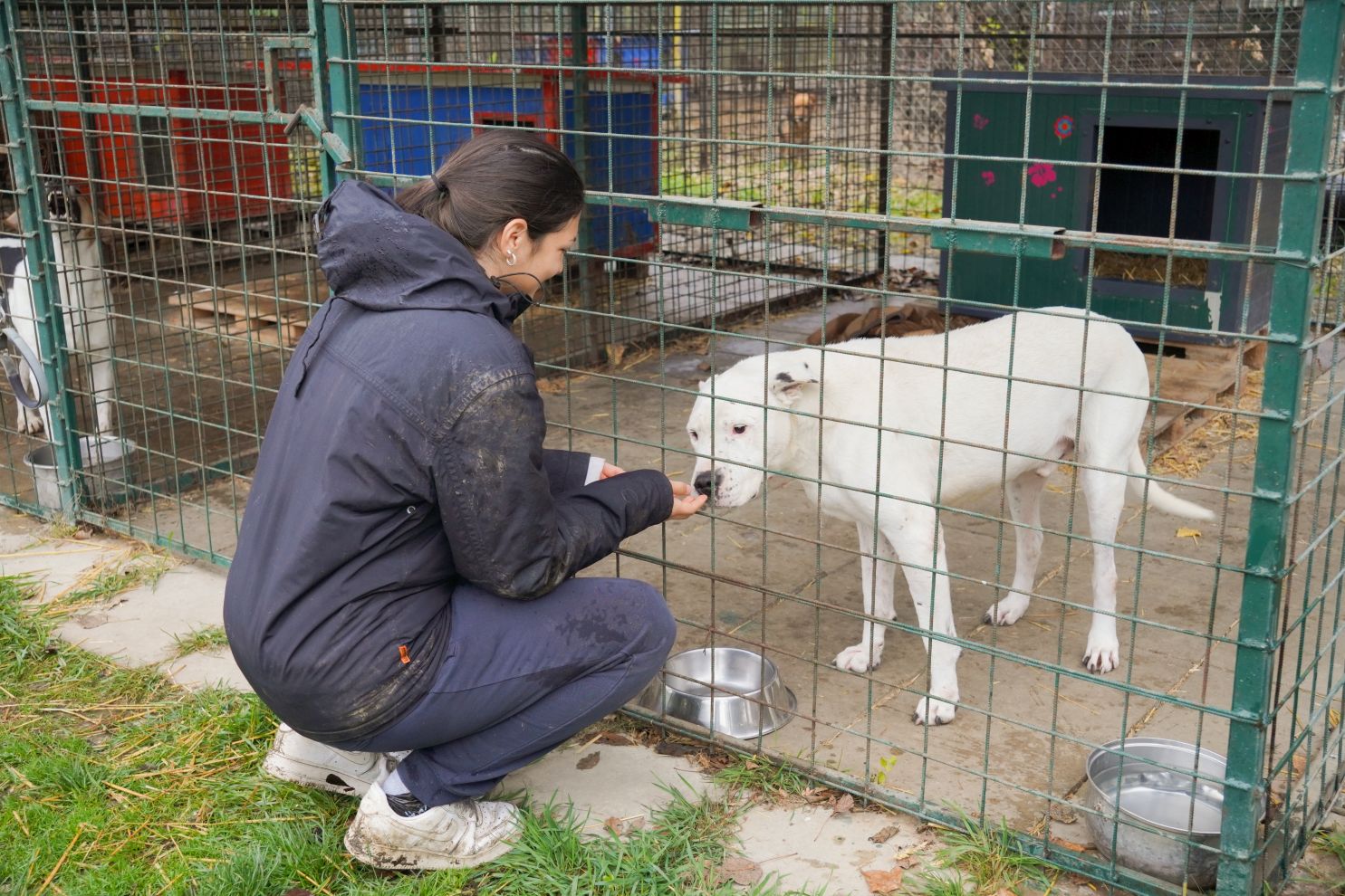 Sklonište za životinje azil Prijatelji volonteri (7)