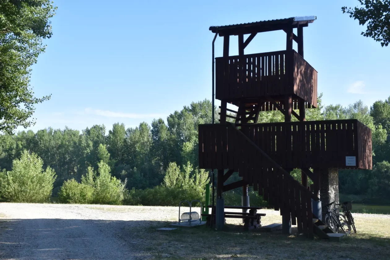 Skrito ljeto, Drava, Stara Drava, Sveta Marija (17)