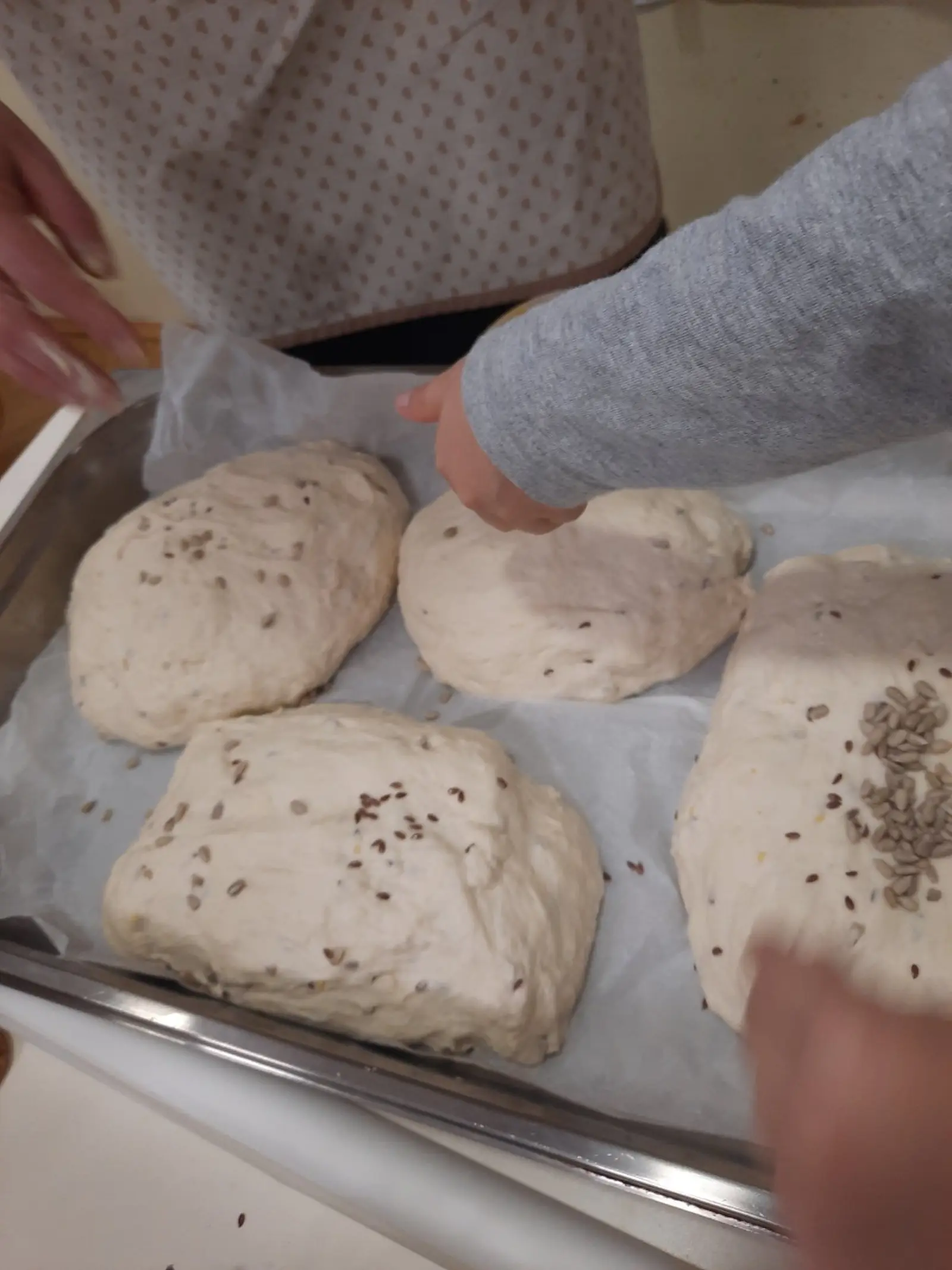 Skupina Leptirići, DV Belica (12)