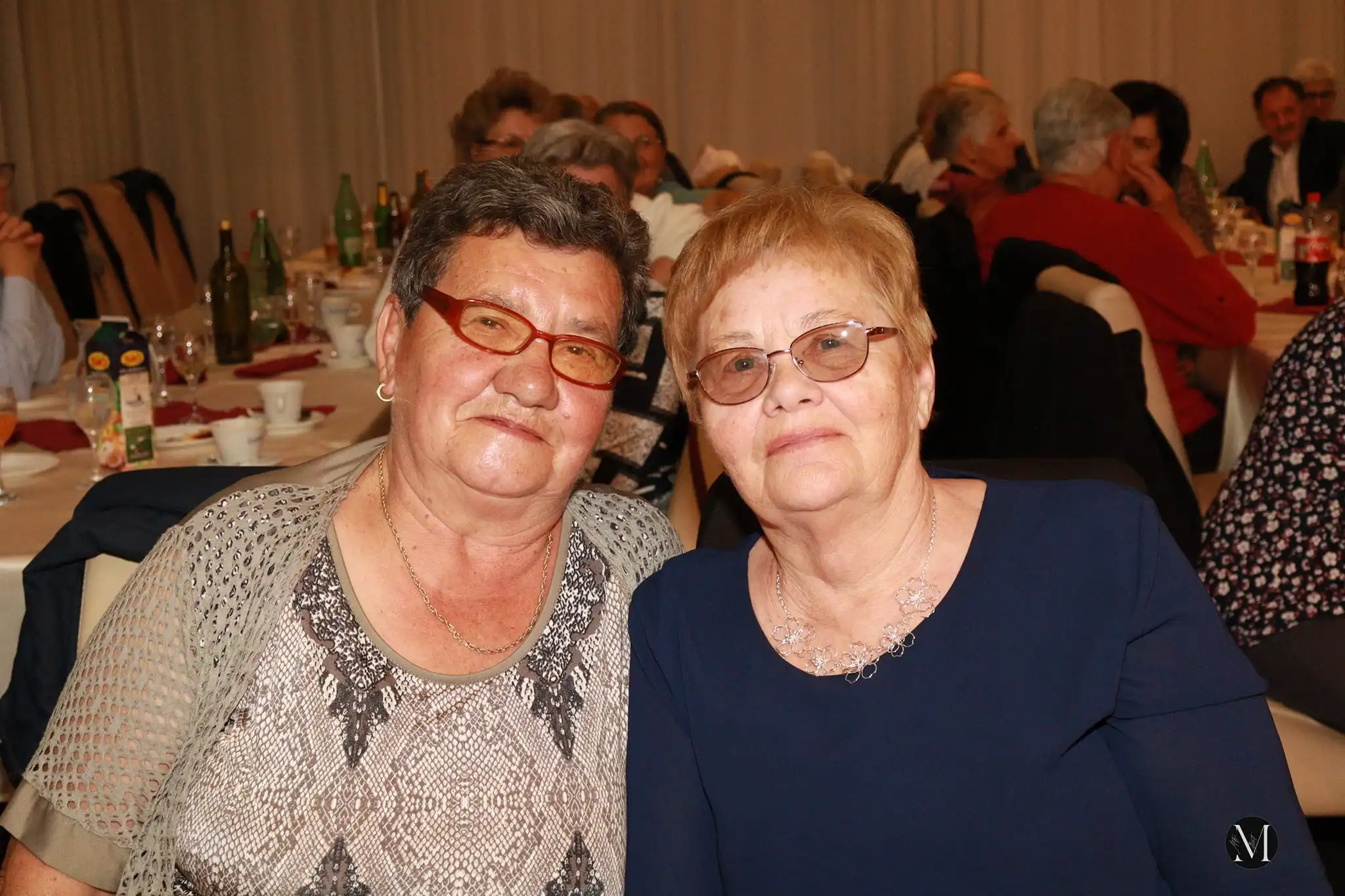 Skupština udruge umirovljenika prelog (29) Skupština udruge umirovljenika prelog (29)