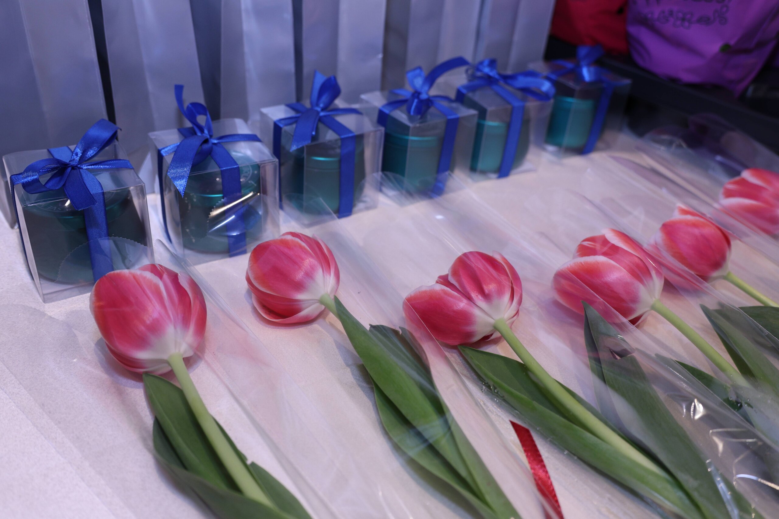 Skupstina udruge umirovljenika prelog i proslava 50 i 60 godina braka clanova (25)