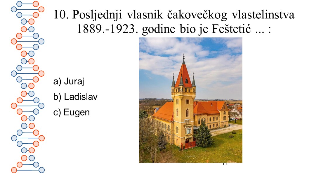 Slajd11 Slajd11