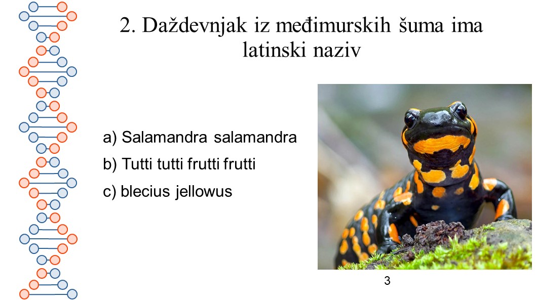 Slajd3 Slajd3