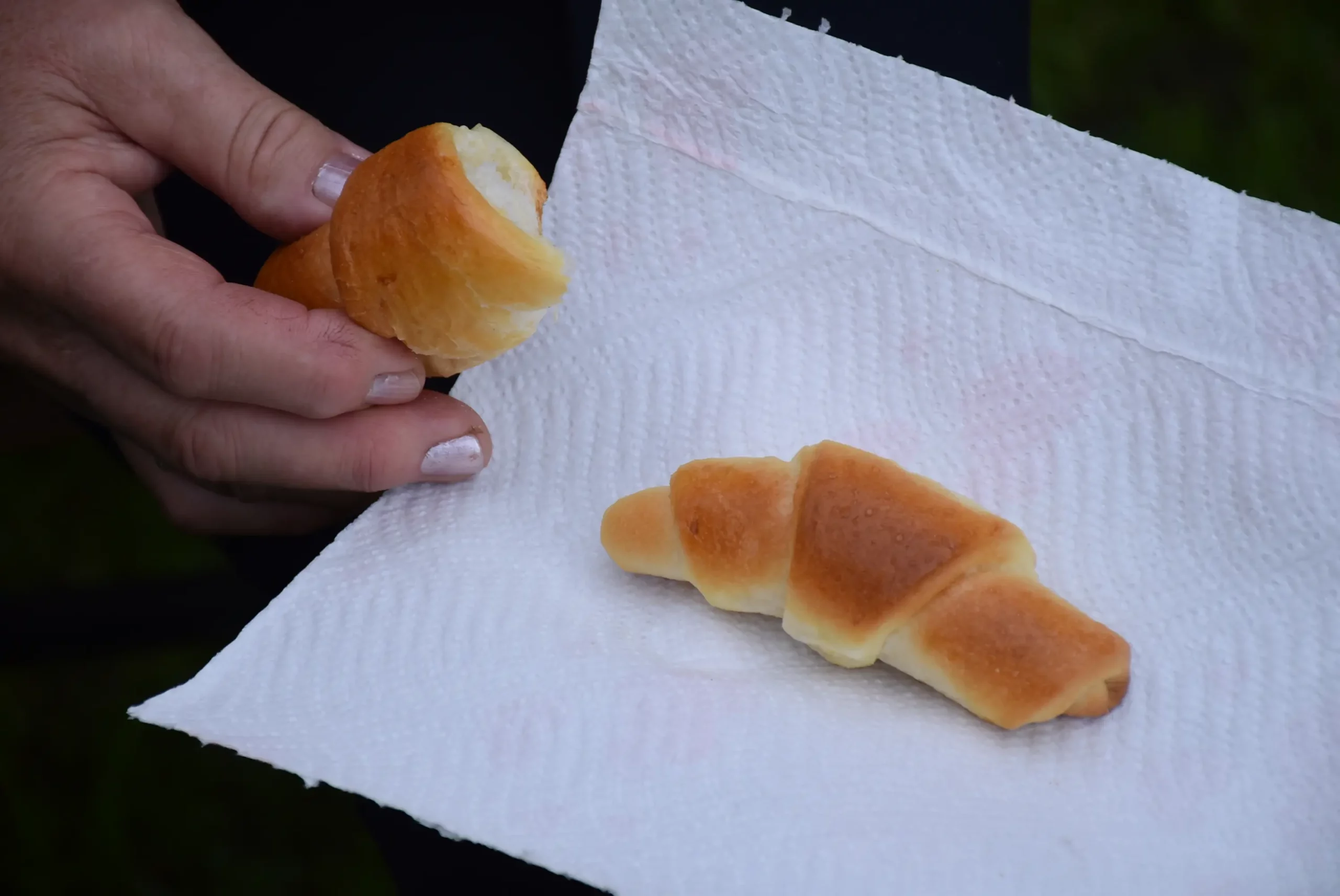 Slava Nađ, Katarina Vlah i Snježana Hatlak (2)