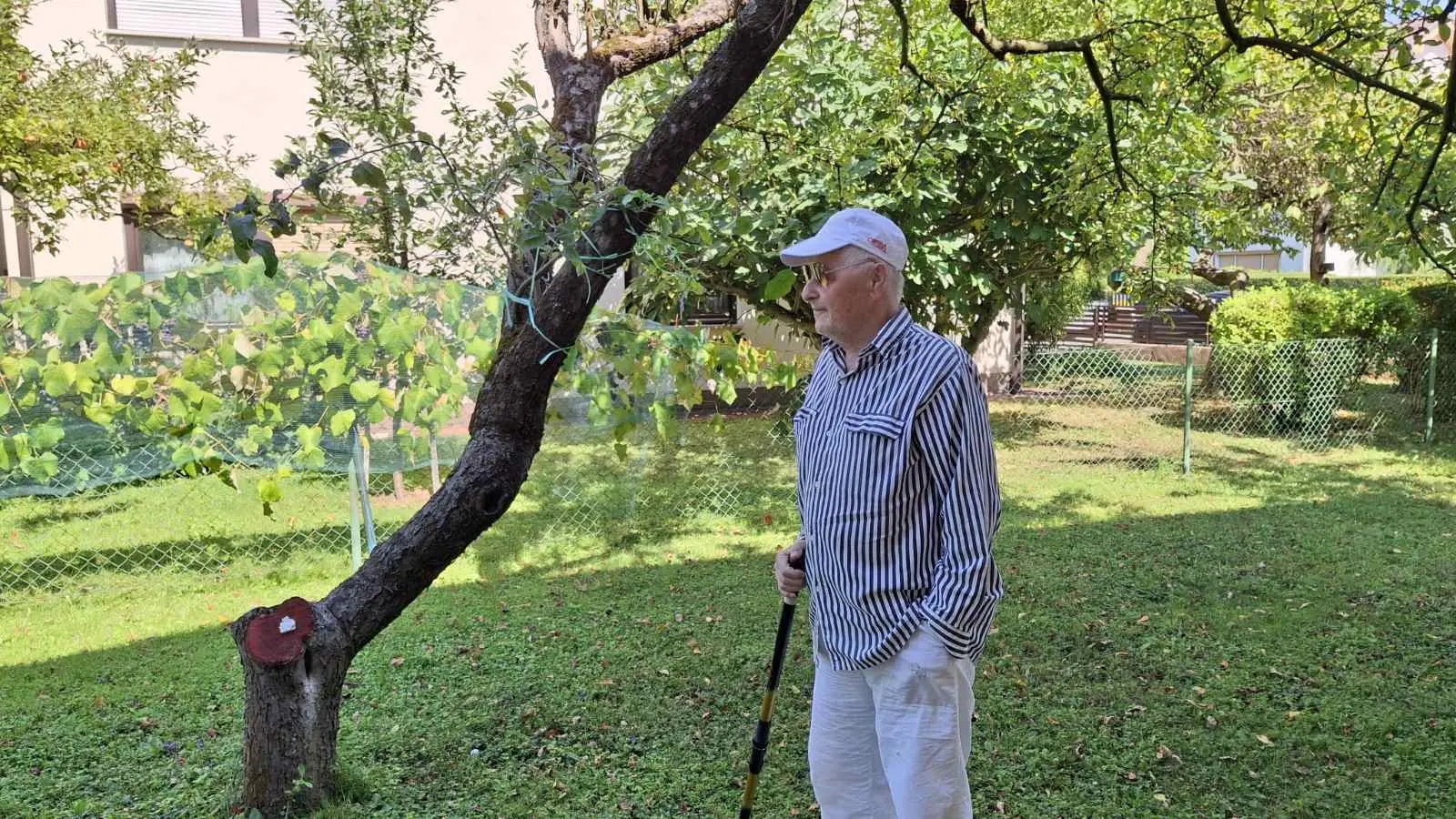 Slavko Mošmondor Čakovec vrt (11)