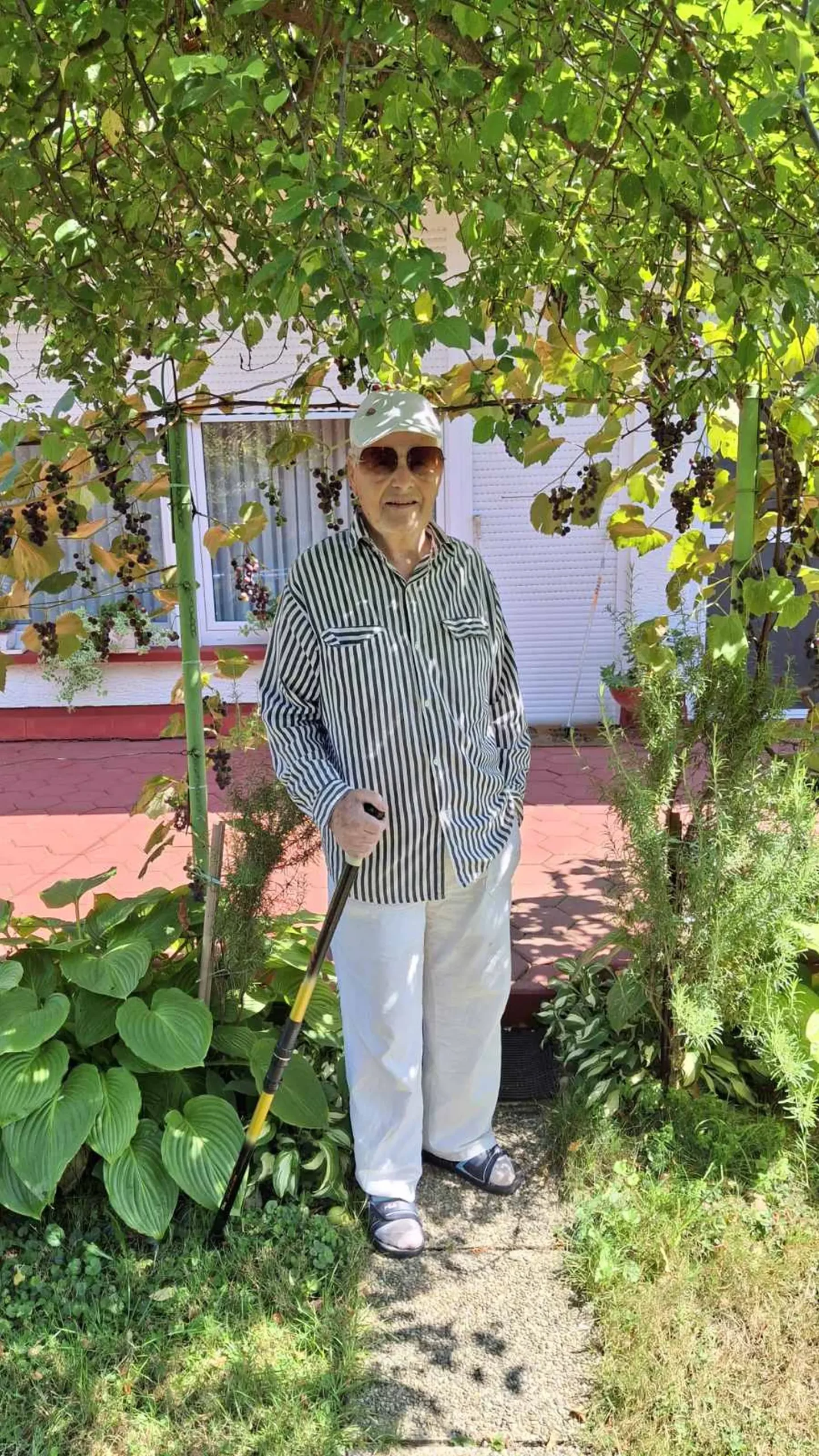 Slavko Mošmondor Čakovec vrt (13)