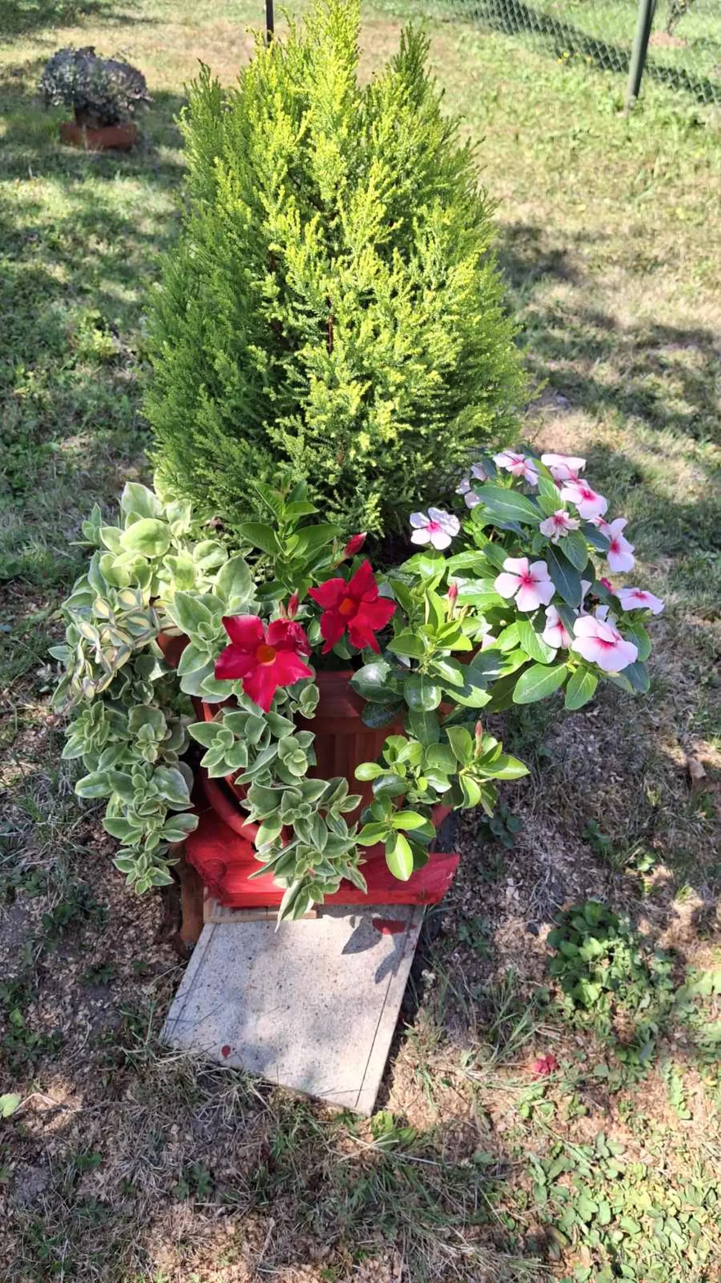 Slavko Mošmondor Čakovec vrt (17)