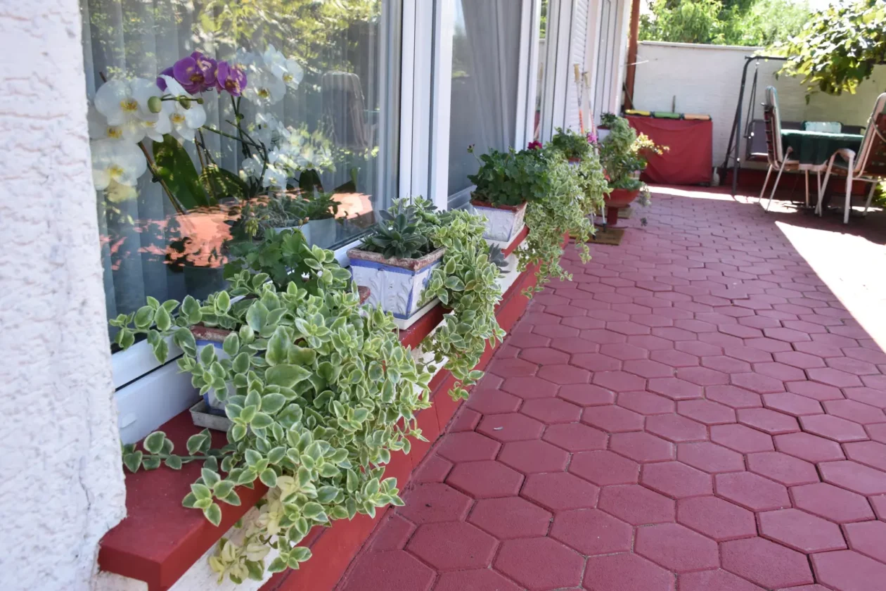 Slavko Mošmondor Čakovec vrt (5)