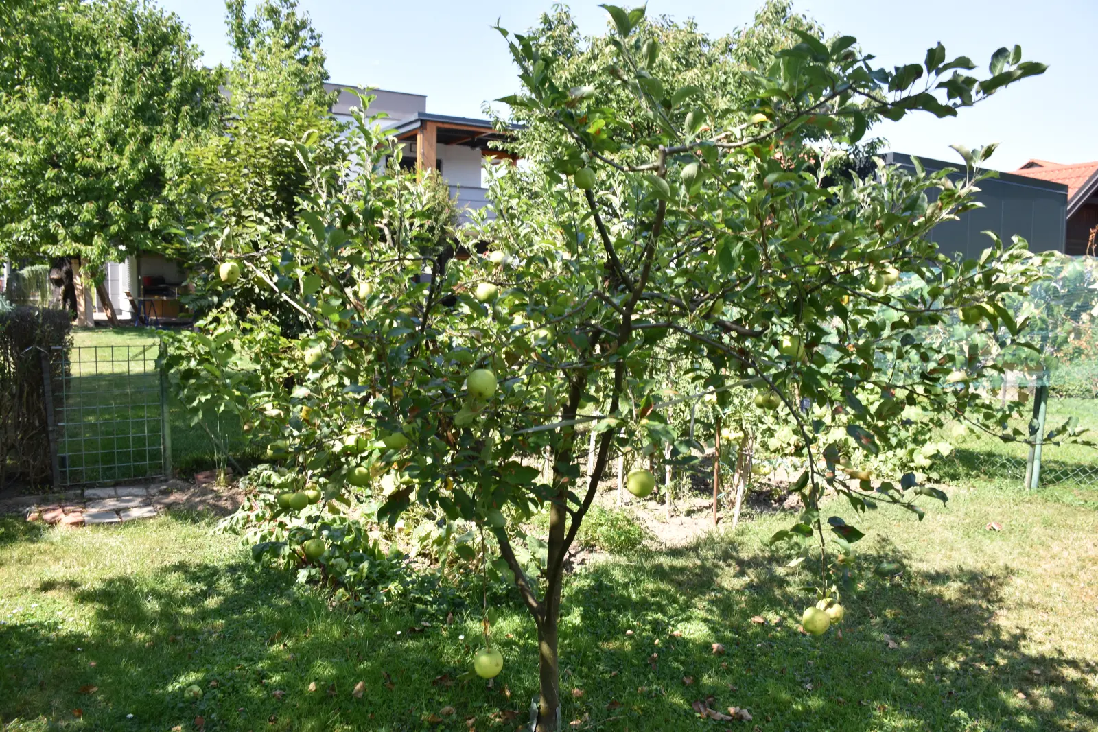 Slavko Mošmondor Čakovec vrt (7)